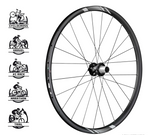 Roues FSA Gravel/VTT NS 29" CENTER LOCK SH TA12/15-X12 V16