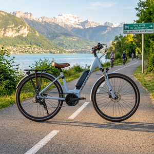 Granville E-Urban 10 – Bosch 65 Nm – 500 Wh – Argent caméléon mat