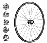 Roues FSA Gravel/VTT NS 29" CENTER LOCK SH TA12/15-X12 V16