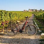 Granville E-Absolute 35 – Bosch 40 Nm – 500 Wh – Bordeaux